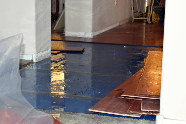 Professional Sewage Cleanup technician working in Clearwater, MN